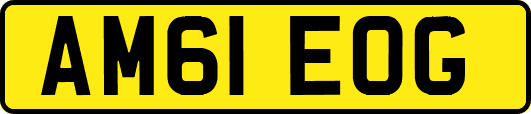AM61EOG