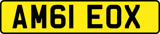 AM61EOX
