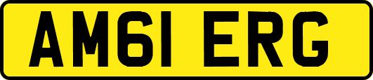 AM61ERG