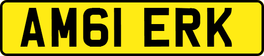 AM61ERK