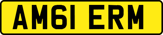 AM61ERM