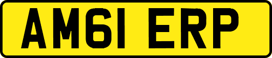 AM61ERP