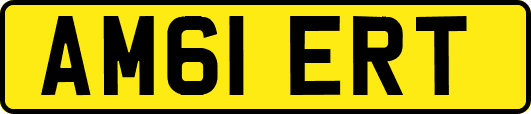 AM61ERT
