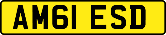 AM61ESD