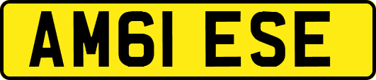 AM61ESE