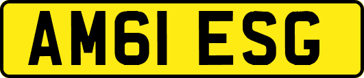 AM61ESG