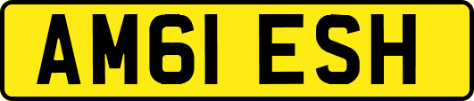 AM61ESH