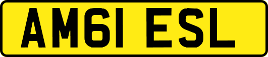 AM61ESL