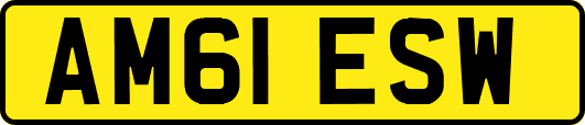 AM61ESW