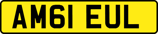 AM61EUL