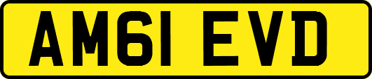 AM61EVD