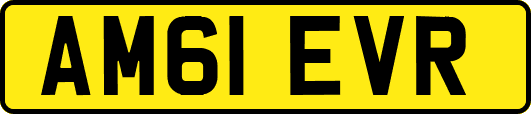 AM61EVR