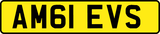 AM61EVS