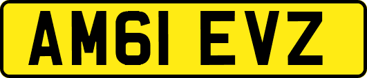 AM61EVZ