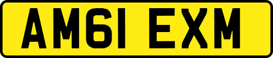 AM61EXM