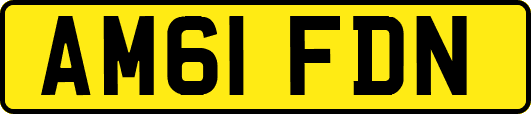 AM61FDN