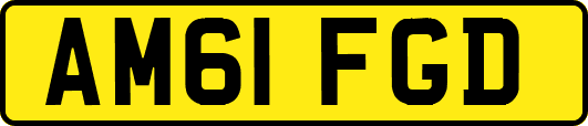 AM61FGD