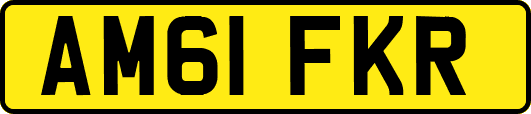 AM61FKR
