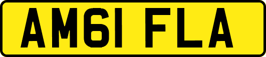 AM61FLA