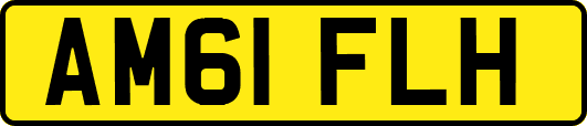 AM61FLH