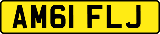 AM61FLJ