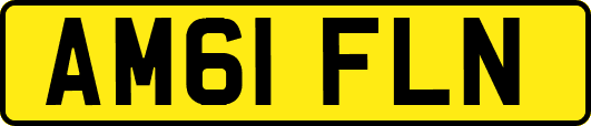 AM61FLN
