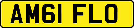 AM61FLO