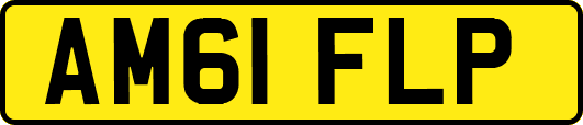 AM61FLP