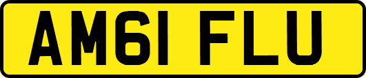AM61FLU
