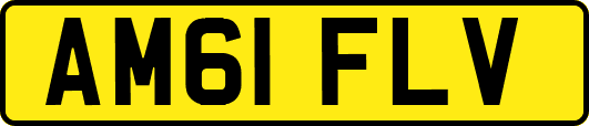 AM61FLV