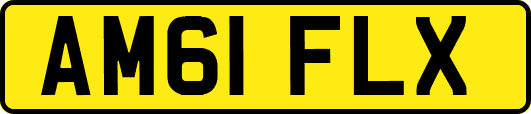 AM61FLX