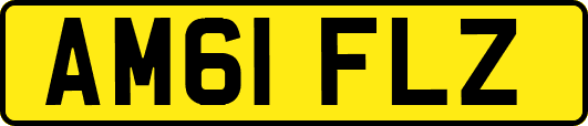 AM61FLZ