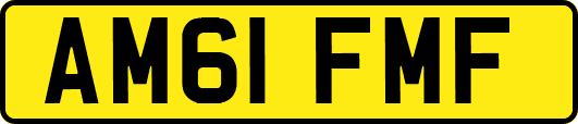 AM61FMF