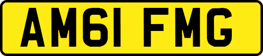 AM61FMG