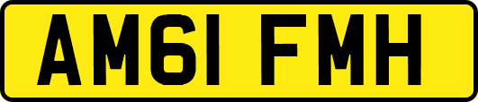 AM61FMH