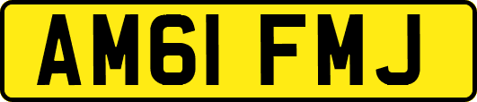 AM61FMJ