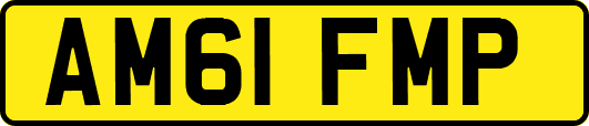 AM61FMP