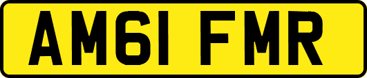 AM61FMR