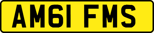 AM61FMS