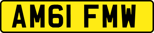 AM61FMW