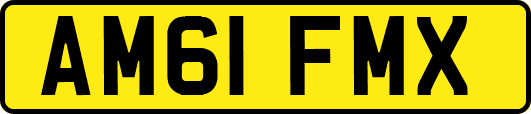 AM61FMX