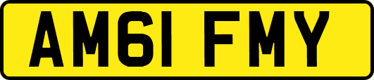AM61FMY