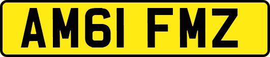 AM61FMZ