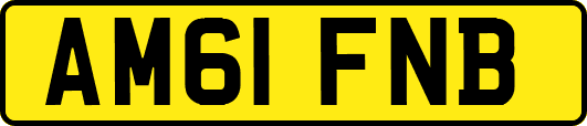 AM61FNB