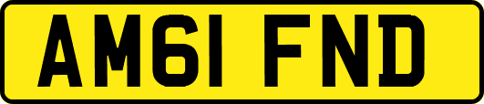 AM61FND