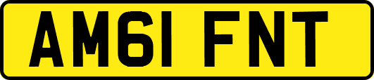 AM61FNT