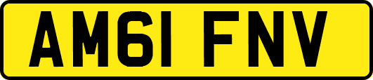 AM61FNV