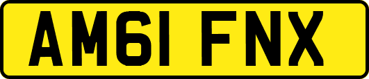 AM61FNX