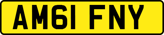 AM61FNY
