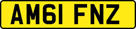 AM61FNZ